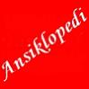 b�y�k islam ansiklopedisi