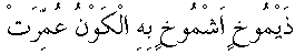 d08441.gif (689 bytes)