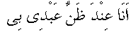 f01181.gif (1284 bytes)