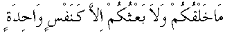 f01201.gif (1691 bytes)