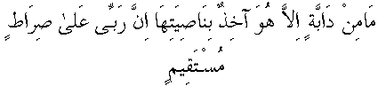 f01278.gif (2179 bytes)
