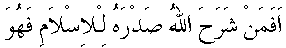 h01147.gif (1597 bytes)