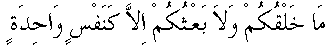 n017.gif (884 bytes)