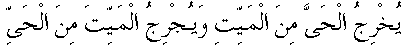 n019.gif (994 bytes)