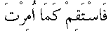 p234.gif (469 bytes)