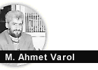 varol.gif (3820 Byte)